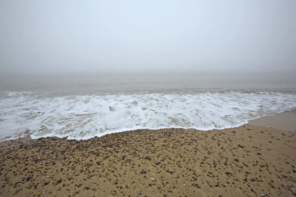 Bloc Weekend 2008 — documentary, event and music photograph in Hemsby-on-Sea, Norfolk, UK, frame 46 of 151.